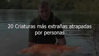 del archivo 20 Criaturas Más