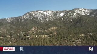 California town facing bear ‘invasion’.
