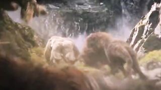Kingkong short video