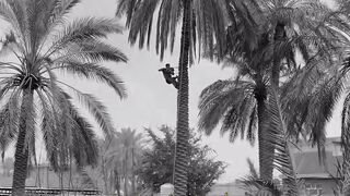 شعر