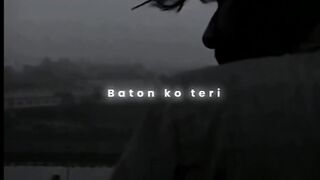 Batoko teri