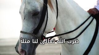 ينشئ مدون الفيديو هذا مقاطع فيديو رائعة! تعال وشاهد!    https://k.kwai.com/u/@Md6090/v7QikmCx