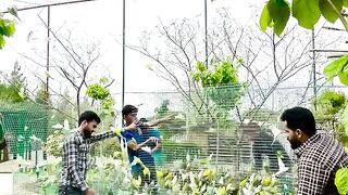 You inaugurate the Bird House in Chaveland with hundreds of birds and medicine