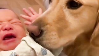 puppy love..the cutest little dogs around