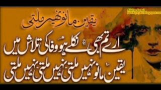 Hey, you have also gone out in search of loyaltyHey, you have also gone out in search of loyalty