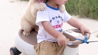 the cutest little dogs around and Bebe