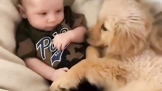 little dogspuppy love ???? Bebe