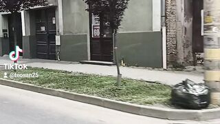 My city 4