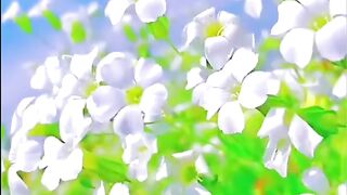 Wild nature beauty
