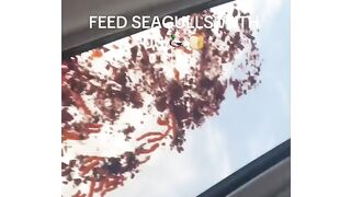 Look at that one!