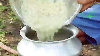 Green Baby Jackfruit Curry With Big Prawn