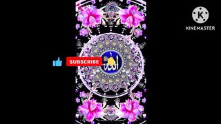 Love Quran