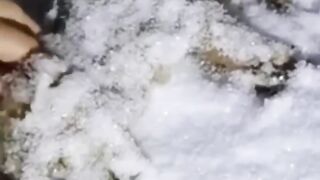 #shorts #shortsvideo #animals #rescue #animalrescue #dog #puppy #wolf