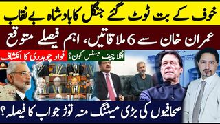 Jungle King in Trouble |Imran Khan important Meetings Cases |  Journalist Judges together |Sabee Kazmi