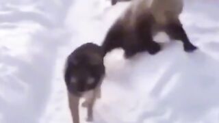 Полный игнор