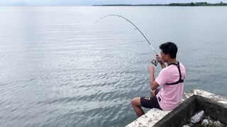 STRIKE !!! Giant Travelly