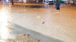 UAE rain