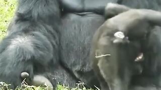family love
