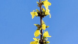 Al Quran beautiful tilawat#