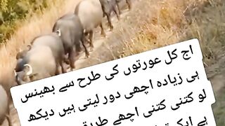 Aj Kal ki aurty