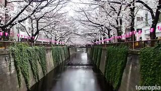 Travel Japan