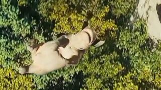Follow for more amazing videos