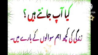 important Question in life | quotes