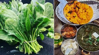 Sarson ka saag toorty huy