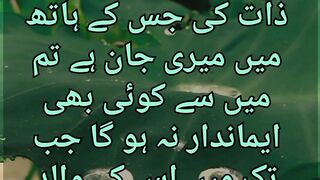 Hadees e kisa | Hadees e Pak | hadees e Nabvi ﷺ Urdu #shorts #islamforpeace11