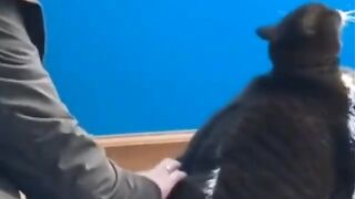 New funny fresh videos