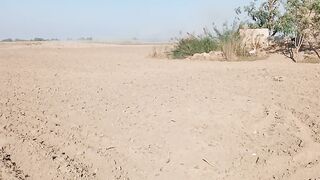 Land preparation
