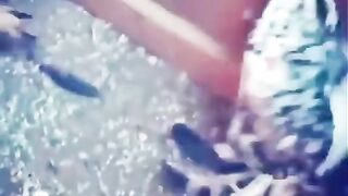borapa ma shadi ka angaam