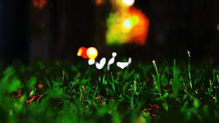 Love song what's app status Urdu lyrics love ????????
