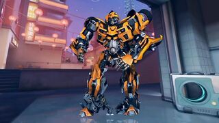 Human robot