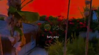 Song cute