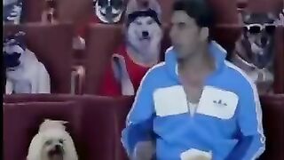 Funy  status vido