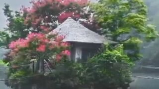 Beautiful view of nature
