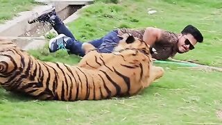 Aj main or Tiger dono ikhaty gir gaye ????#noumanhassan8 #angrylion #foryou