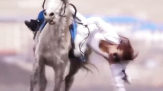 beautiful horse riding