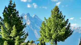 Naltar valley skardu ????️????????????