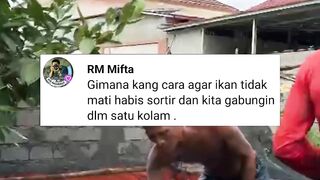 Bagaimana cara agar ikan lele tidak MATI setelah DISORTIR❓