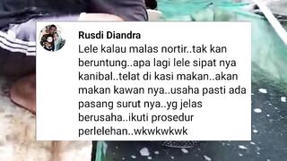 Budidaya ikan lele tanpa SORTIR❗Gak akan UNTUNG