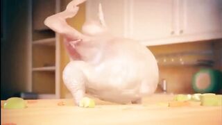 Chicken poulet 2