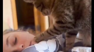 CAT ALARM! Wakes Up Owner in the Cutest Way Possible (2024)
