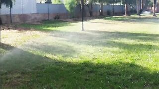Garden of my city