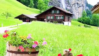 Belle nature