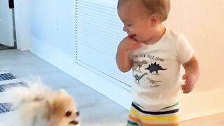 Ultimate Cat Compilation! (2024)
