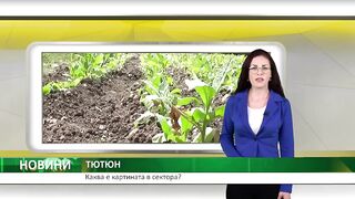 СИТУАЦИЯТА В ТЮТЮНЕВИЯ БРАНШ В БЪЛГАРИЯ