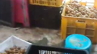 PASAR BUAH LODOYO BLITAR