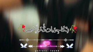 Urdu caption editing video